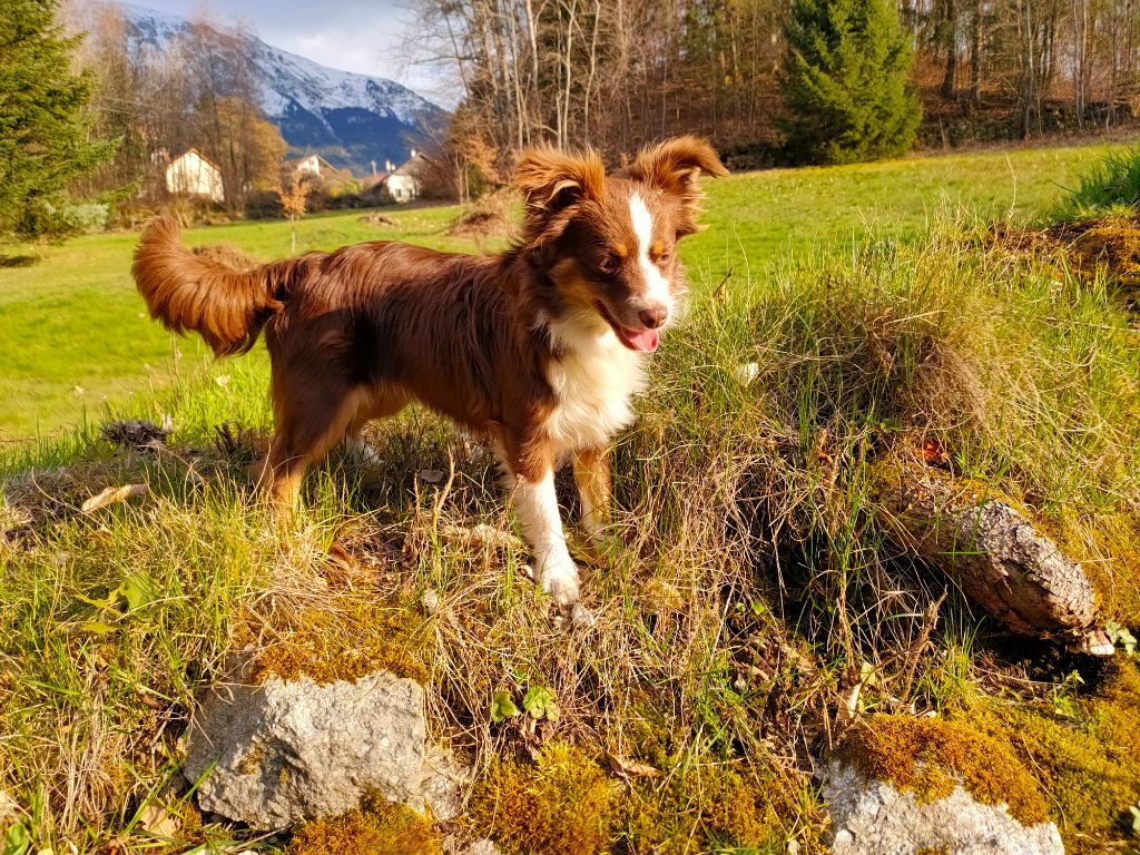 Tania des Sources de l'Aube