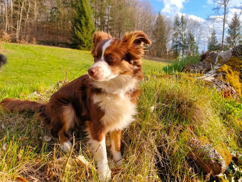 Tania des Sources de l'Aube